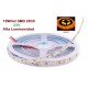 Tira LED 5 mts Flexible 24V 90W 600 Led SMD 2835 IP20 Ambar, Alta Luminosidad